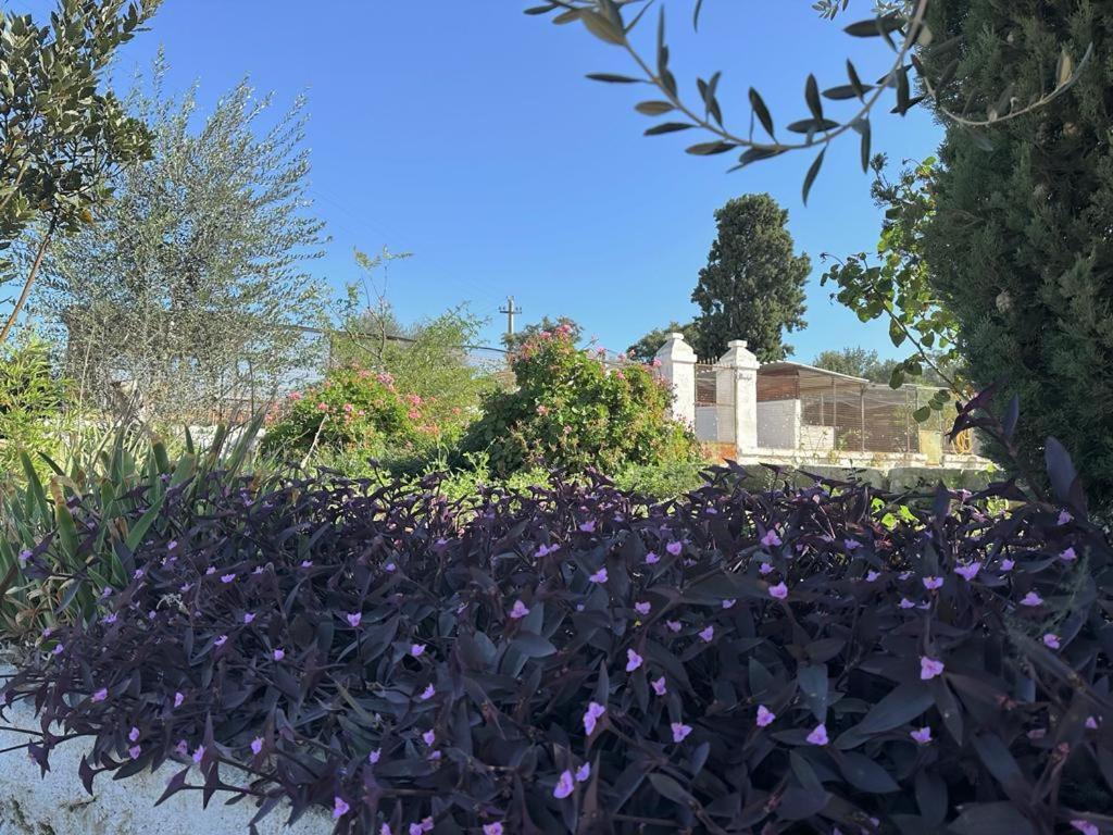 Masseria Strada Agriturismo Ginosa Eksteriør bilde